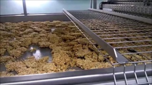 Granola Production